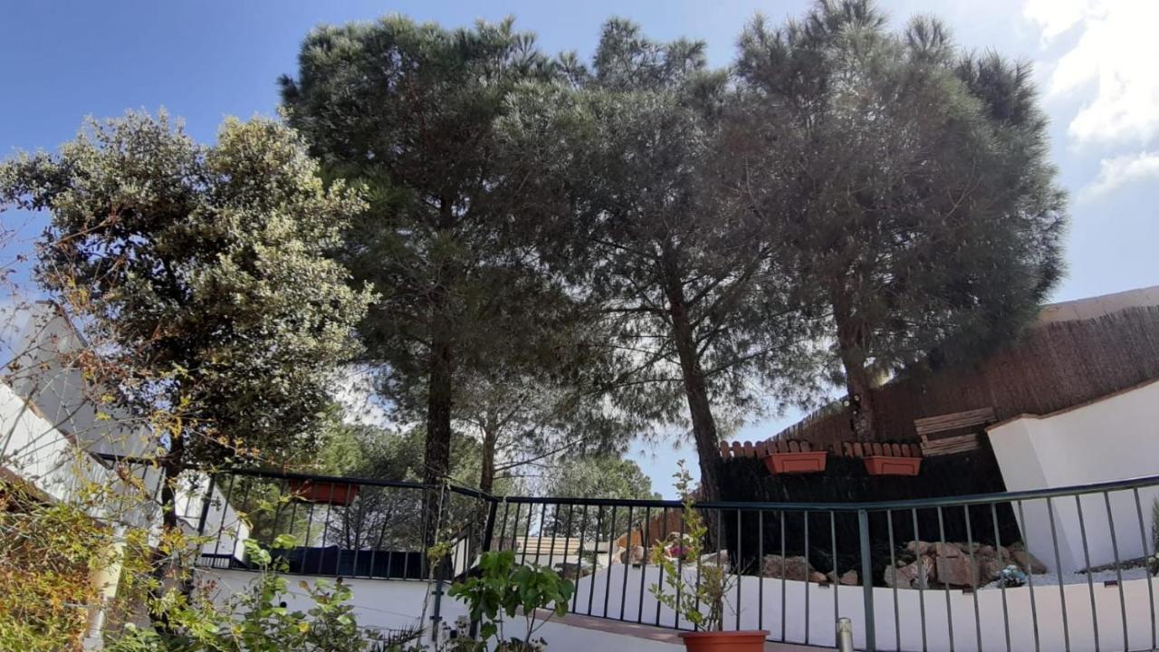 El Pinar Del Coto Villa Kordoba Bagian luar foto